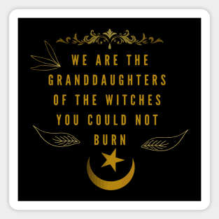 We are the granddaughters of the witches you could not burn Magnet